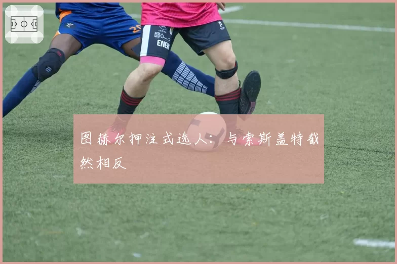 图赫尔押注式选人：与索斯盖特截然相反